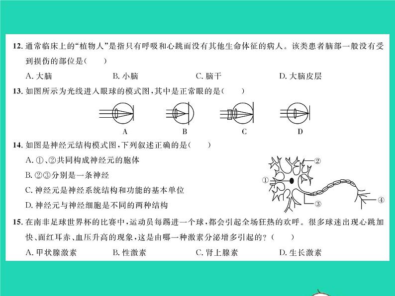 2022七年级生物下学期期末测试习题课件新版北师大版04