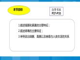 神奇的微生物 課件