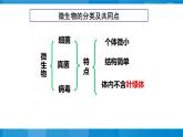 神奇的微生物 課件