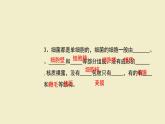 神奇的微生物 課件