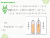 绿色植物的呼吸作用 课件