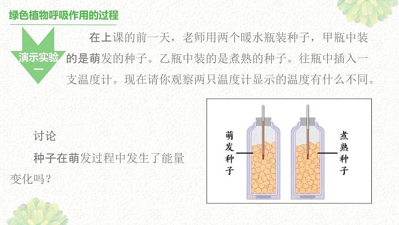 绿色植物的呼吸作用 课件03