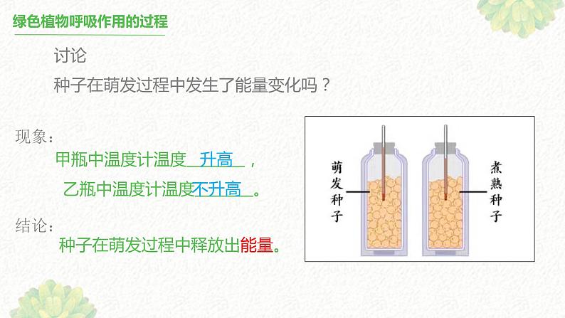 绿色植物的呼吸作用 课件04