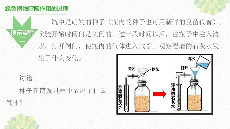 绿色植物的呼吸作用 课件05