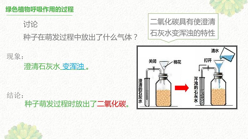 绿色植物的呼吸作用 课件06