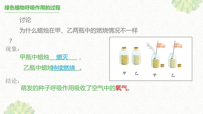 绿色植物的呼吸作用 课件08