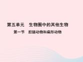 2022八年级生物上册第一章动物的主要类群第一节腔肠动物和扁形动物教学课件1新版新人教版
