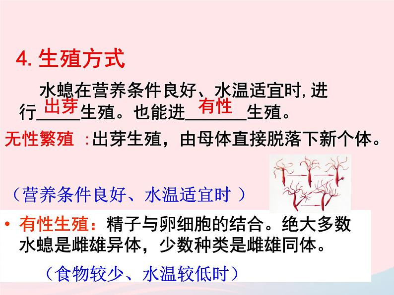 2022八年级生物上册第一章动物的主要类群第一节腔肠动物和扁形动物教学课件1新版新人教版08