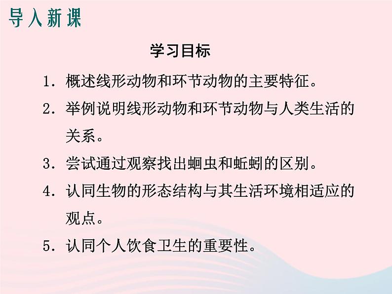 2022八年级生物上册第一章动物的主要类群第二节线形动物和环节动物教学课件2新版新人教版第3页