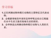 2022八年级生物上册第一章动物的主要类群第五节两栖动物和爬行动物教学课件1新版新人教版