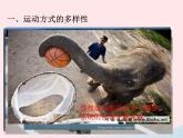 2022八年级生物上册第二章动物的运动和行为第一节动物的运动教学课件新版新人教版