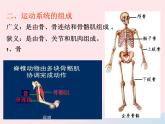 2022八年级生物上册第二章动物的运动和行为第一节动物的运动教学课件新版新人教版