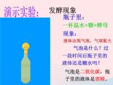 2022八年级生物上册第四章细菌和真菌第五节人类对细菌和真菌的利用教学课件新版新人教版
