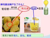 2022八年级生物上册第四章细菌和真菌第五节人类对细菌和真菌的利用教学课件新版新人教版