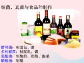 2022八年级生物上册第四章细菌和真菌第五节人类对细菌和真菌的利用教学课件新版新人教版