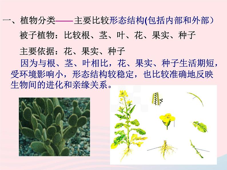 2022八年级生物上册第六单元生物的多样性及其保护第一章根据生物的特征进行分类第一节尝试对生物进行分类教学课件2新版新人教版第2页