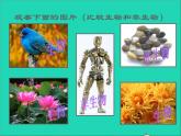 2022七年级生物上册第一单元生物和生物圈第一章认识生物第一节生物的特征教学课件新版新人教版
