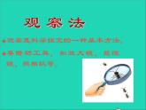 2022七年级生物上册第一单元生物和生物圈第一章认识生物第一节生物的特征教学课件新版新人教版