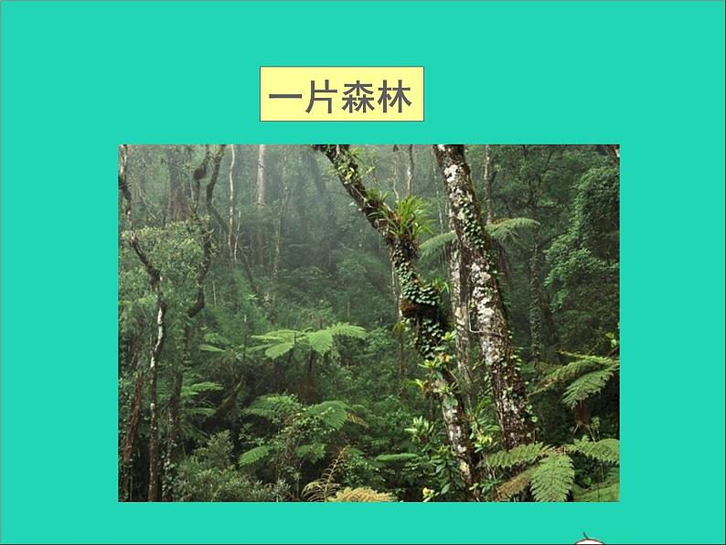 2022七年级生物上册第一单元生物和生物圈第二章了解生物圈第二节生物与环境组成生态系统教学课件新版新人教版第5页