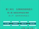 2022七年级生物上册第二单元生物体的结构层次第二章细胞怎样构成生物体第三节植物体的结构层次教学课件新版新人教版