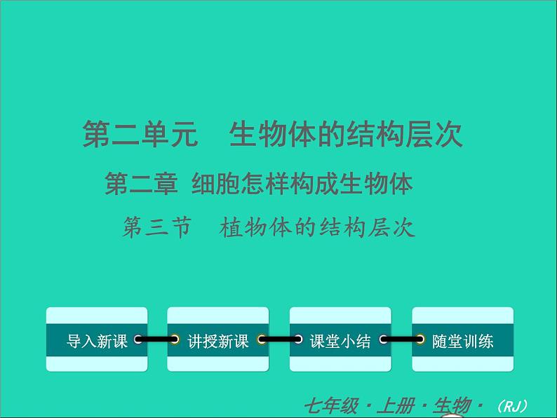 2022七年级生物上册第二单元生物体的结构层次第二章细胞怎样构成生物体第三节植物体的结构层次教学课件新版新人教版第1页