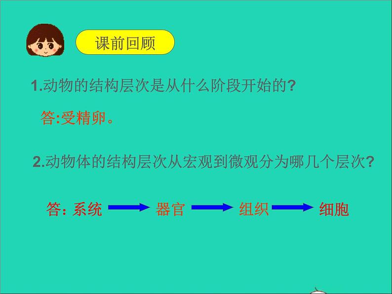 2022七年级生物上册第二单元生物体的结构层次第二章细胞怎样构成生物体第三节植物体的结构层次教学课件新版新人教版第2页