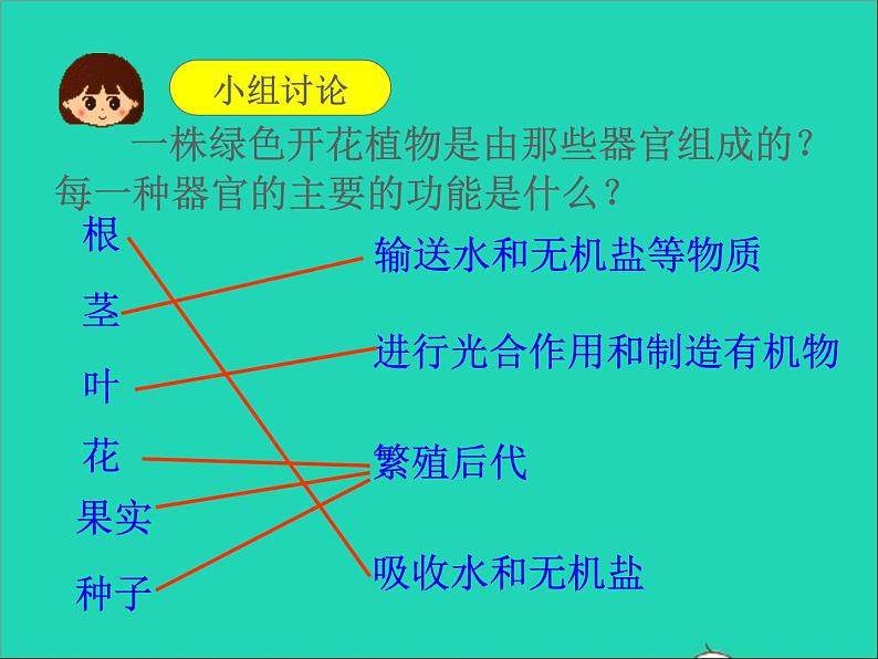 2022七年级生物上册第二单元生物体的结构层次第二章细胞怎样构成生物体第三节植物体的结构层次教学课件新版新人教版第3页