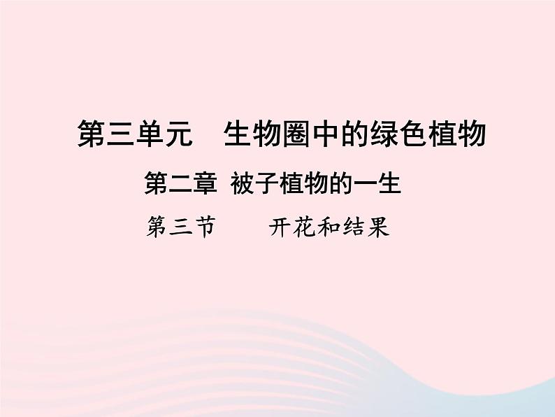 2022七年级生物上册第三单元生物圈中的绿色植物第二章被子植物的一生第三节开花和结果教学课件新版新人教版01