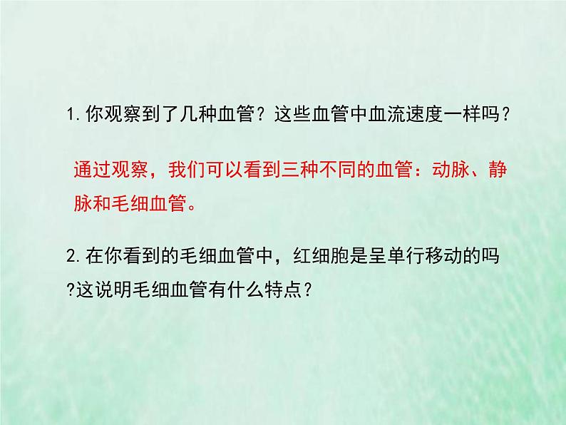 人教版七年级生物下册第4单元生物圈中的人第4章人体内物质的运输第2节血流的管道-血管课件07