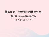 2022八年级生物上册第二章动物的运动和行为第三节社会行为教学课件新版新人教版