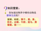2022八年级生物上册第二章动物的运动和行为第三节社会行为教学课件新版新人教版
