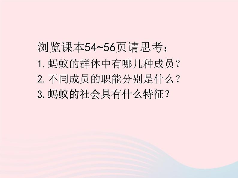 2022八年级生物上册第二章动物的运动和行为第三节社会行为教学课件新版新人教版04