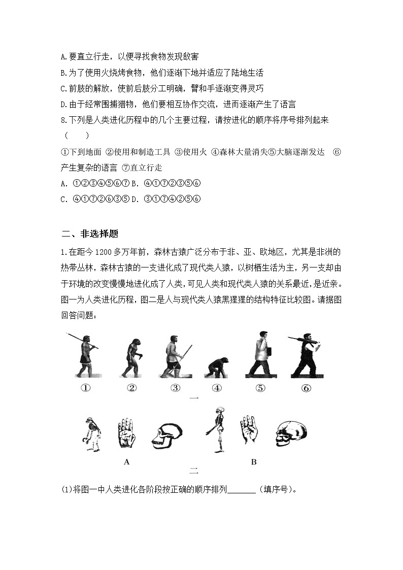 4.1.1《人的起源和发展》同步练习第2页