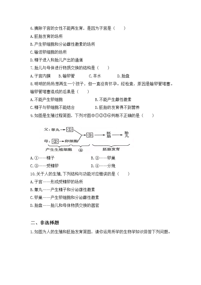 4.1.2《人的生殖》课件+教案+习题02