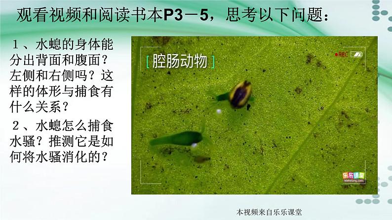 1.1 腔肠动物和扁形动物（课件）-八年级生物上册同步备课（人教版）05