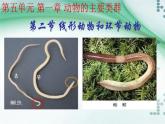 1.2 線形動(dòng)物和環(huán)節(jié)動(dòng)物（課件）-八年級(jí)生物上冊(cè)同步備課（人教版）