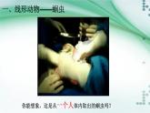 1.2 線形動(dòng)物和環(huán)節(jié)動(dòng)物（課件）-八年級(jí)生物上冊(cè)同步備課（人教版）
