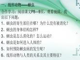 1.2 線形動(dòng)物和環(huán)節(jié)動(dòng)物（課件）-八年級(jí)生物上冊(cè)同步備課（人教版）