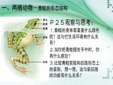 1.5 两栖动物和爬行动物（课件）-八年级生物上册同步备课（人教版）