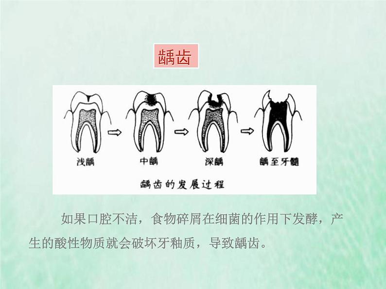 苏教版七年级生物下册第4单元生物圈中的人第9章人的食物来自环境第2节人体的消化与的吸收2课件07