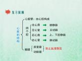 人教版七年级生物下册第4单元生物圈中的人第4章人体内物质的运输第3节输送血液的泵-心脏第2课时血液循环的途径课件