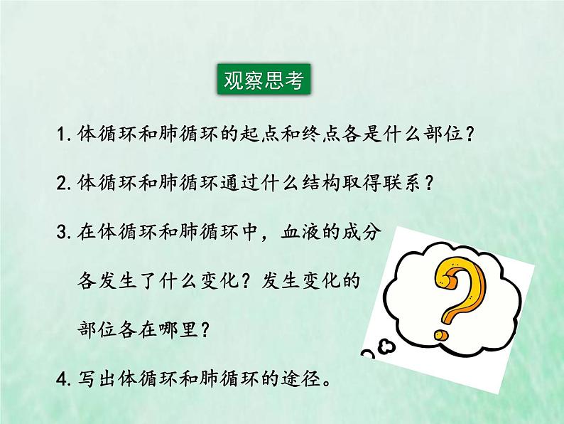 人教版七年级生物下册第4单元生物圈中的人第4章人体内物质的运输第3节输送血液的泵-心脏第2课时血液循环的途径课件04