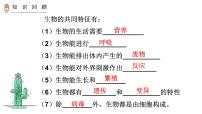 初中生物人教版 (新课标)七年级上册第二节   调查周边环境中的生物教学ppt课件