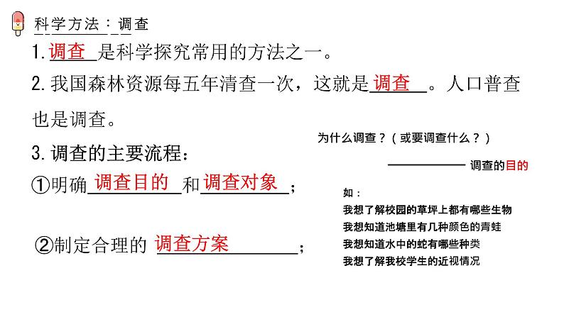 1.1.2 调查周边环境中的生物 课件06
