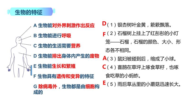 1.2.1 生物与环境的关系 课件02