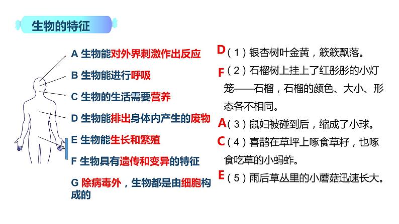 1.2.1 生物与环境的关系 课件02