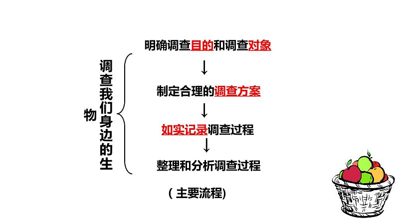 1.2.1 生物与环境的关系 课件04