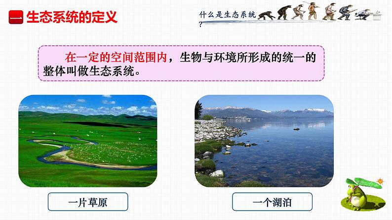 1.2.2生物与环境组成生态系统 课件05