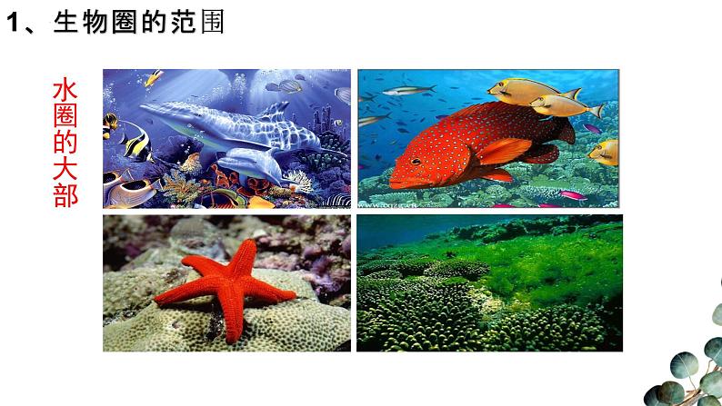 1.2.3 生物圈是最大的生态系统 课件05