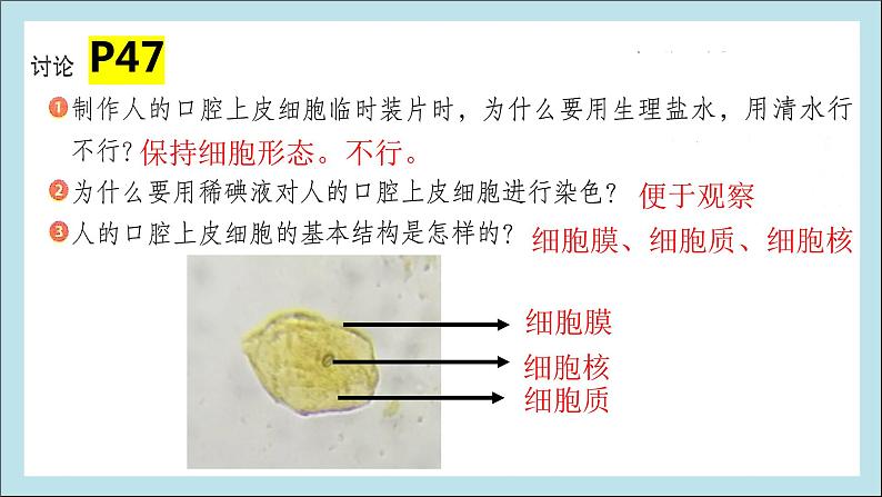 2.1.3 动物细胞第4页